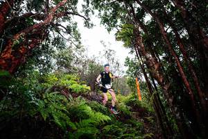 BIB: 
                            <button type="button" onclick="openModal(26201659)" class="btn btn-primary btn-sm float-right btn-popup" data-toggle="modal" data-target=".modal-high-quality">
                        <i class="fas fa-shopping-cart"></i> Add to Cart
                    </button>
                                            <button type="button" onclick="isThisMe(26201659, true)" class="btn btn-success btn-sm float-right btn-popup btn-isme hidden" data-toggle="tooltip" data-placement="bottom" title="นี่คือรูปของคุณใช่ไหม คลิกที่นี่เพื่อเอาเข้าอัลบั้ม">
                        <i class="fas fa-plus"></i> Add to album
                    </button>
                    <button type="button" onclick="isThisMe(26201659, false)" class="btn btn-warning btn-sm float-right btn-popup btn-isnotme hidden">
                        <i class="fas fa-ban"></i> Remove from album
                    </button>